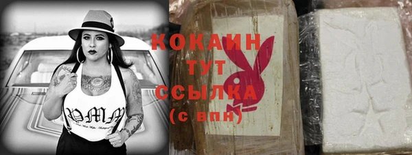 ешки Гусь-Хрустальный