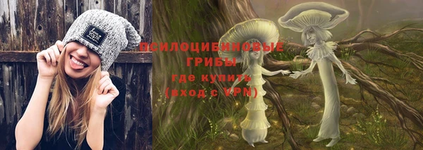 герыч Дмитров