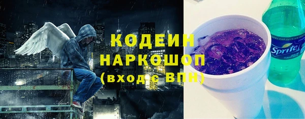 ешки Гусь-Хрустальный