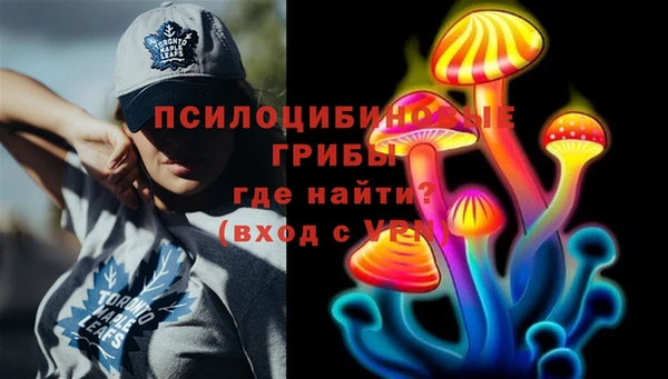 дурь Гусев