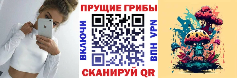 Галлюциногенные грибы мухоморы  Купить  Кузнецк 